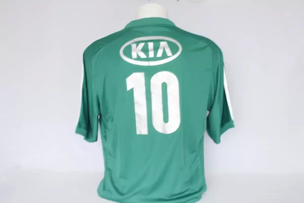 Palmeiras 2012 Home