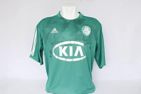 Palmeiras 2012 Home