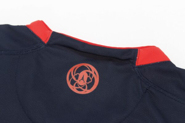 Paris Saint Germain 2008/09 Home