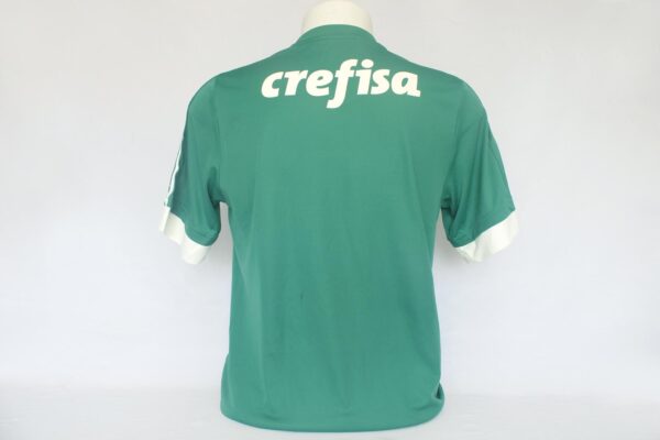 Palmeiras 2015 Home