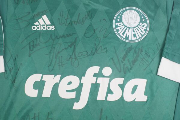 Palmeiras 2015 Home