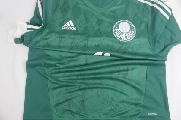 Palmeiras 2015 Home