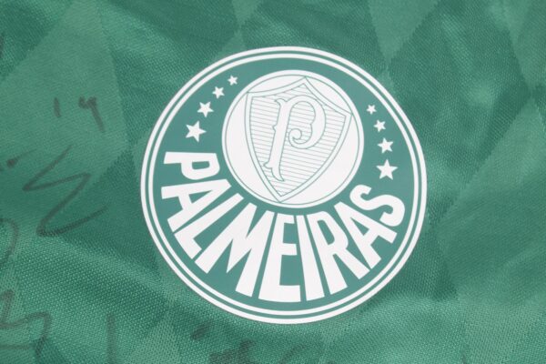 Palmeiras 2015 Home