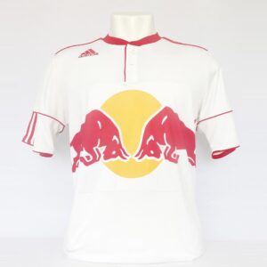 Red Bull 2011 Home