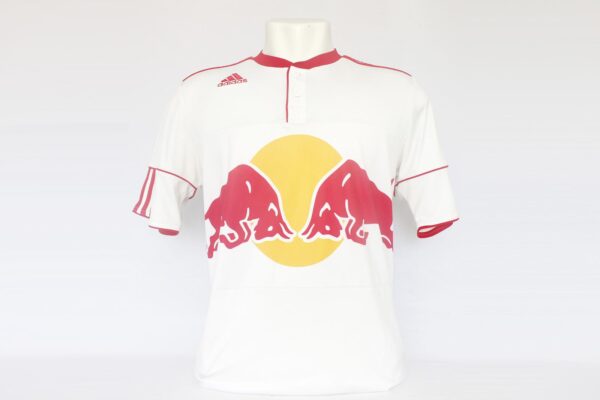 Red Bull 2011 Home