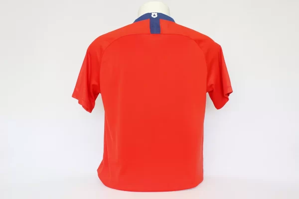 Chile 2018 Home