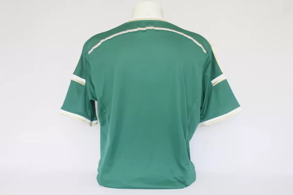 Panathinaikos 2014/15 Home