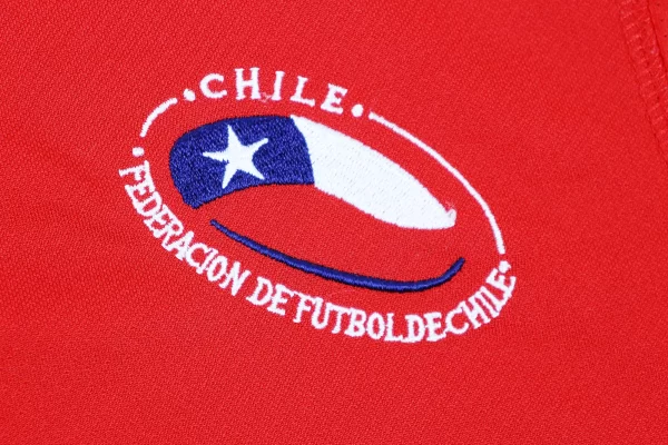 Chile 2010 Home