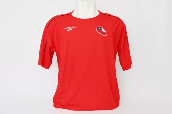 Chile 2010 Home