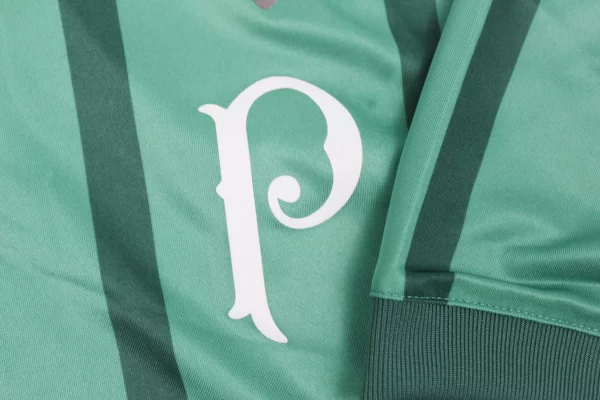 Palmeiras 2017 Home