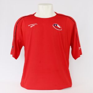 Chile 2010 Home