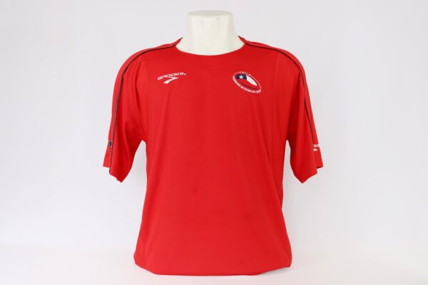 Chile 2010 Home